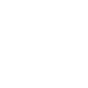 Logo KLM wit