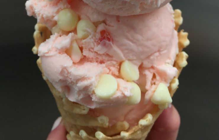 Bij naam Ounce Ellende De 13 meest bijzondere & speciale ijs smaken. - De Jongs IJs | Blog